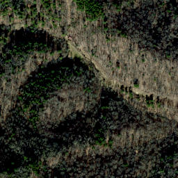 Satellite imagery of Worley Mill Ridge, US