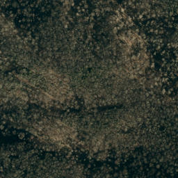 Satellite imagery of Big Fork Ridge, US