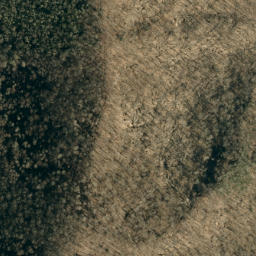 Satellite imagery of Big Fork Ridge, US