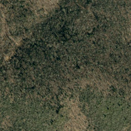 Satellite imagery of Colbert Ridge, US