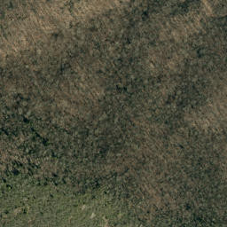Satellite imagery of Colbert Ridge, US