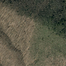 Satellite imagery of Pups Ridge, US