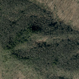 Satellite imagery of Pups Ridge, US