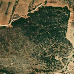 Satellite imagery of Djebel ech Chegga, DZ