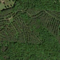 Satellite imagery of Buck Ridge, US