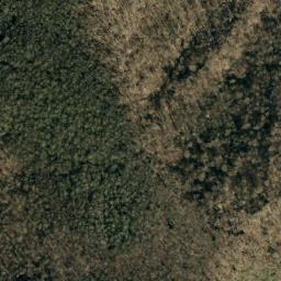 Satellite imagery of Wilson Ridge, US