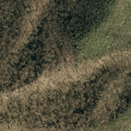Satellite imagery of Wilson Ridge, US