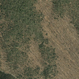 Satellite imagery of Colbert Ridge, US