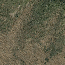 Satellite imagery of Colbert Ridge, US