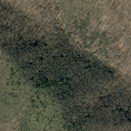 Satellite imagery of Pups Ridge, US