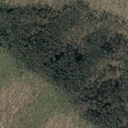 Satellite imagery of Pups Ridge, US