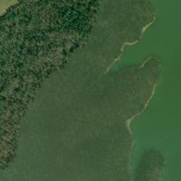 Satellite imagery of White Bluff, US