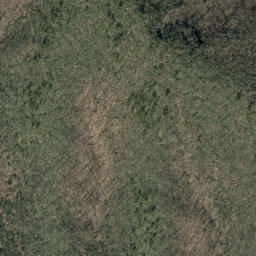 Satellite imagery of Pups Ridge, US
