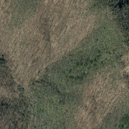 Satellite imagery of Pups Ridge, US