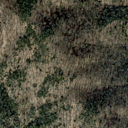 Satellite imagery of Old Trail Ridge, US