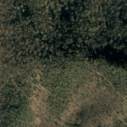 Satellite imagery of Ogle Ridge, US