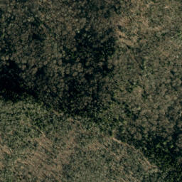 Satellite imagery of Ogle Ridge, US