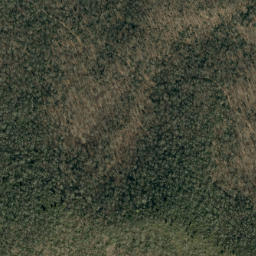 Satellite imagery of Middle Ridge, US