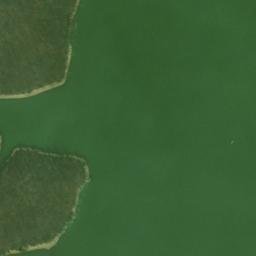 Satellite imagery of White Bluff, US