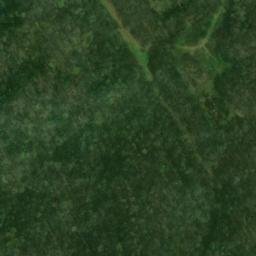 Satellite imagery of Reed Quarry, US