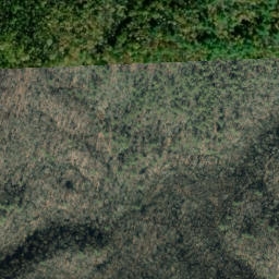 Satellite imagery of Snakeden Ridge, US
