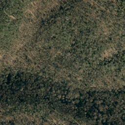 Satellite imagery of Ogle Ridge, US