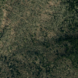 Satellite imagery of Ogle Ridge, US