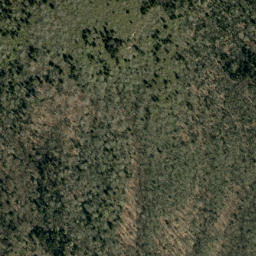 Satellite imagery of Middle Ridge Bald, US