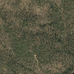 Satellite imagery of Middle Ridge, US