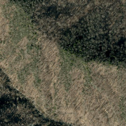 Satellite imagery of Bridle Ridge, US