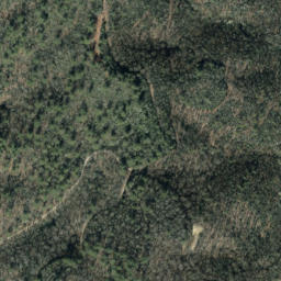 Satellite imagery of Locust Thorn Ridge, US