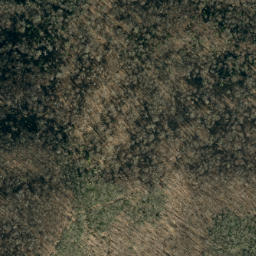 Satellite imagery of Timber Ridge, US