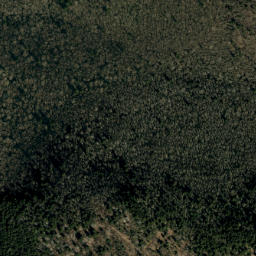 Satellite imagery of Ogle Ridge, US