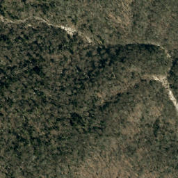 Satellite imagery of Maple Camp Ridge, US