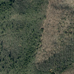 Satellite imagery of Rough Ridge, US