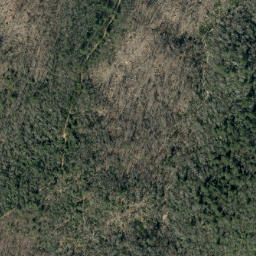 Satellite imagery of Rough Ridge, US