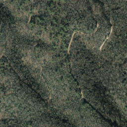Satellite imagery of Locust Thorn Ridge, US