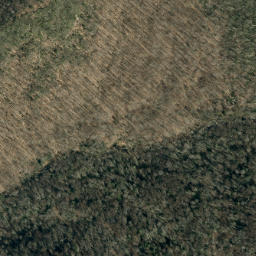 Satellite imagery of Timber Ridge, US