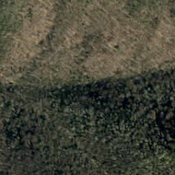Satellite imagery of Timber Ridge, US
