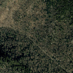 Satellite imagery of Timber Ridge, US
