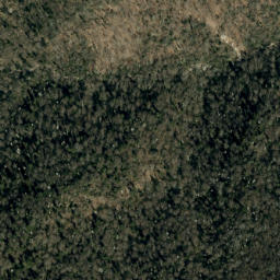 Satellite imagery of Maple Camp Ridge, US