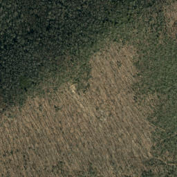 Satellite imagery of Maple Camp Ridge, US