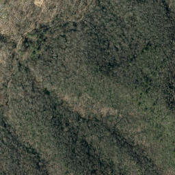 Satellite imagery of Timber Ridge, US