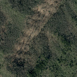 Satellite imagery of Timber Ridge, US