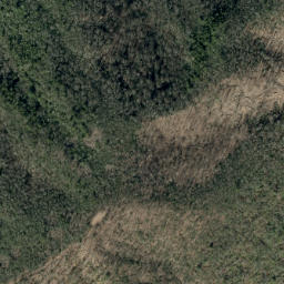 Satellite imagery of Timber Ridge, US
