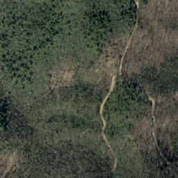 Satellite imagery of Rough Ridge, US