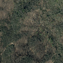 Satellite imagery of Rough Ridge, US