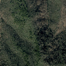 Satellite imagery of Witness Rock Ridge, US