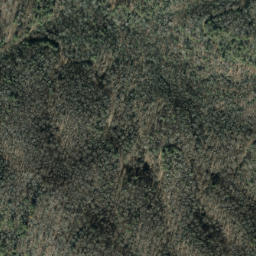 Satellite imagery of Locust Thorn Ridge, US