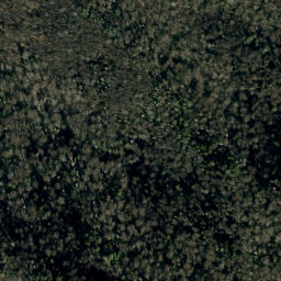 Satellite imagery of Mitchell Ridge, US